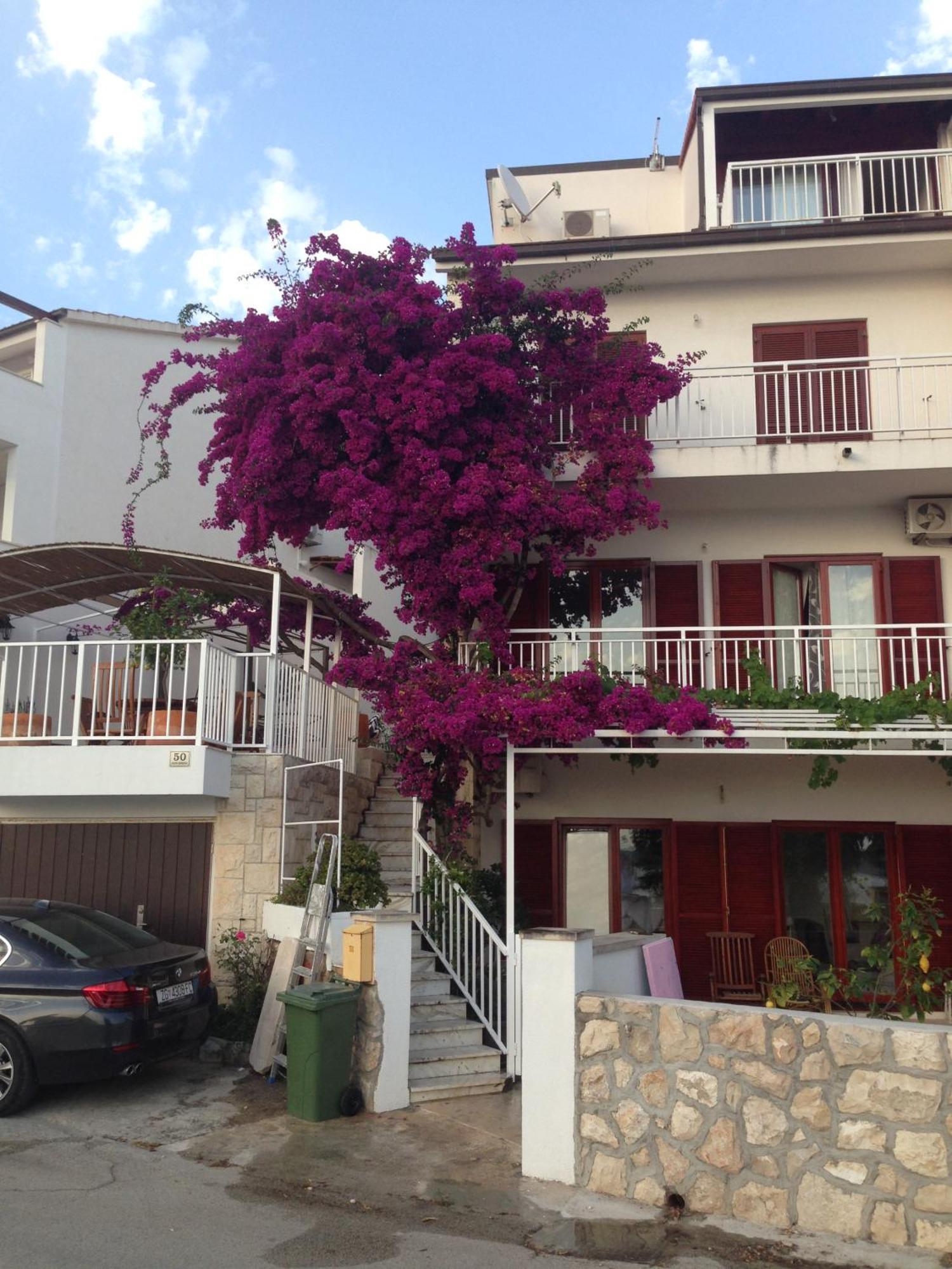 Apartment Duda Hvar Town Exterior photo